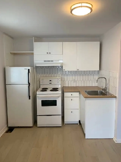 Bachelor Apartment - Newly Renovated  (Available Jan 1, 2026) Image# 1