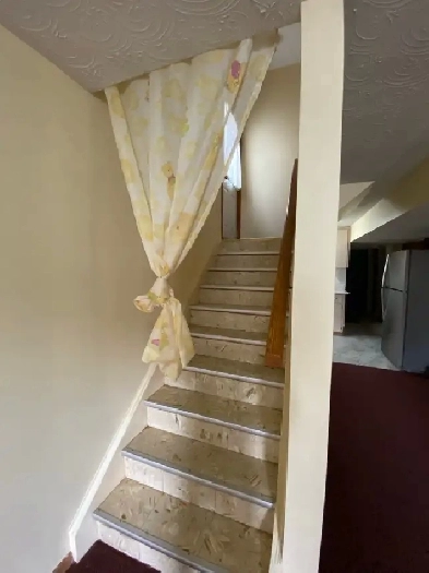 2 Beds 1 Bath Basement for Rent Image# 1