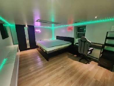 Bright, Beautiful, Big Bedrooms (Available Dec 1) Image# 1