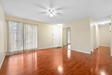 AWESOME 3 BR, Main level, all laminate, 1.5 baths ! Image# 1