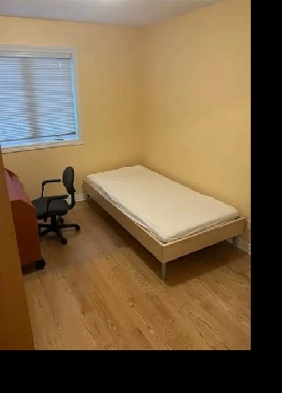 1 JAN - Furnished Room for Mature Female Student - Bank/Walkley Image# 1