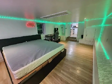 Big, Bright, Private Masterbedroom (Available December 1st, 2025 Image# 1