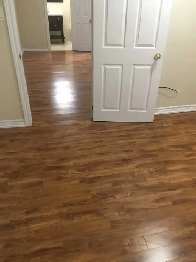 Basement Apartment  for rent. Image# 1