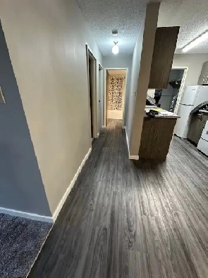 Clean and Well maintained apartment for rent Image# 7