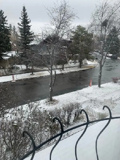 Lovely Basement Suite with Large Bedroom - Inglewood Image# 1