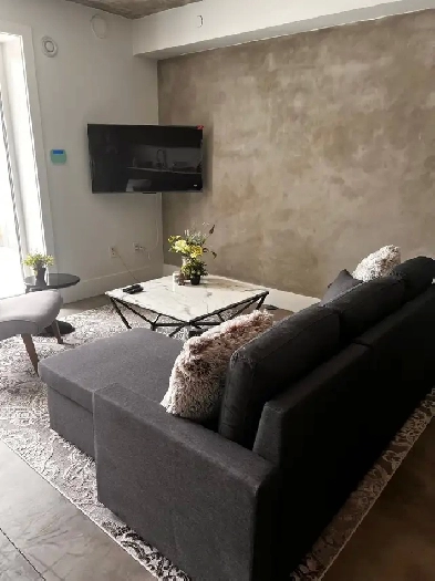 2 bedroom 2 bath fully furnished suite Image# 8