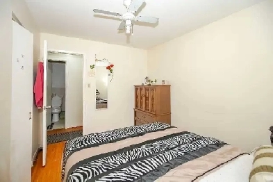 PRIVATE & SHARED ROOM AVAILABLE DEC OR JAN IN MALTON Image# 1