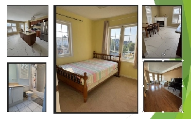 Single room for rent in Oakville (Dundas/Trafalgar) Image# 1