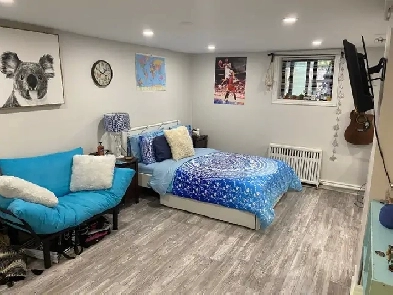 Annex Very Spacious Basement by Bathurst subway Image# 1