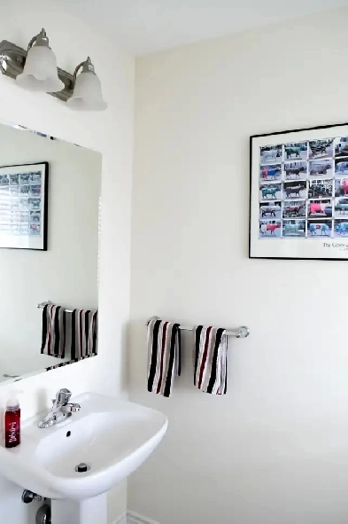 Doon South 3 bd 2.5 bath beautiful  townhouse avail Dec 1 Image# 1