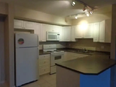 Newly Renovated Stunning & Comfy Condo in Downtown Edmonton Image# 1