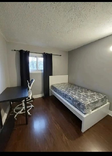 Room for rent -minutes walk to humber college north Image# 1
