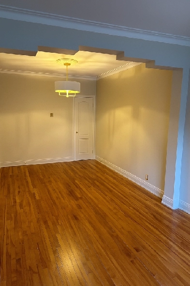 Grand bas de duplex rénové à louer disponible Image# 1