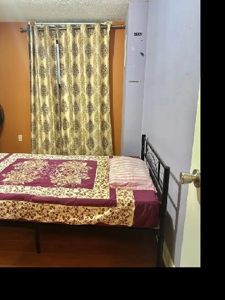 Room for Females Image# 1