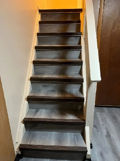 2 BD Basement Apartment for Rent Image# 1