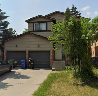 3 ROOMS AVAILABLE FOR RENT IN CASTLERIDGE Image# 1