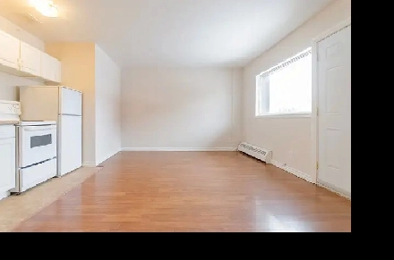 227 Notre Dame Ave - Newly Renovated Bachelor For Rent Image# 3
