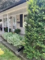 1 Bedroom Basement Apartment for rent Image# 1