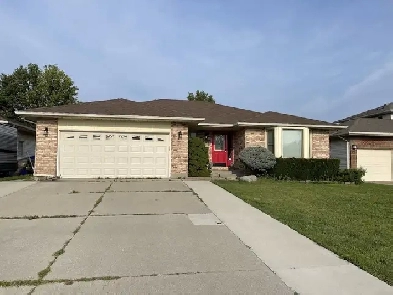 Room available for  Co-op or  College students/Professionals Image# 2