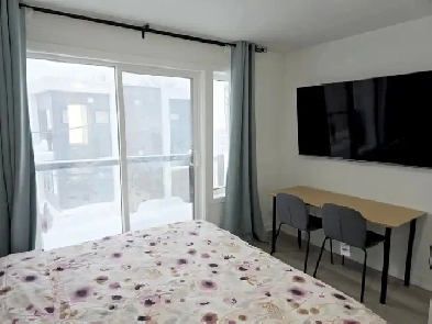 Daily nightly weekly room for rent Keele Wilson Downsview Park Image# 1