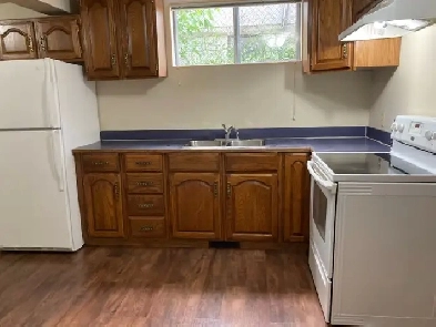 Parkallen 2 Bedroom Basement in House $1150/month Image# 1