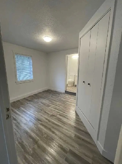 1 bed 1 bath apartment Image# 3