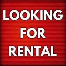 Spacious Basement Room Rent – Male Bachelor MALTON Image# 1