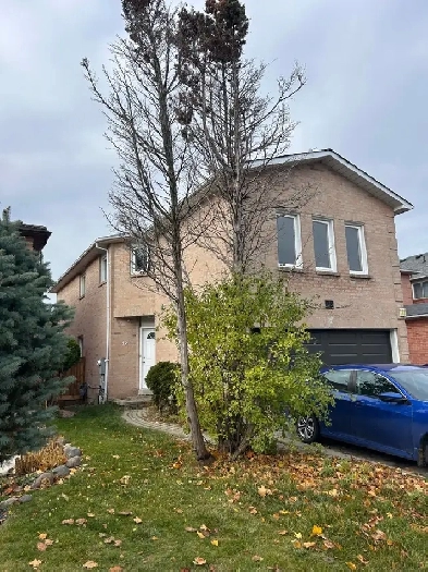 4 Bedroom Spacious House Image# 1