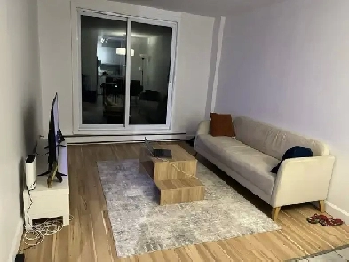 Appartement à louer Image# 1