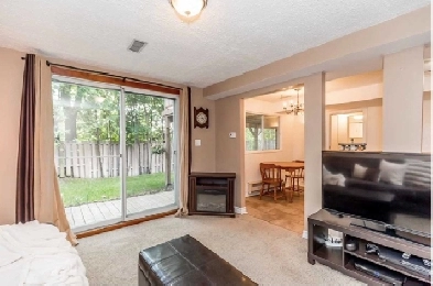 1 Bedroom Walkout Basement for Rent Image# 1