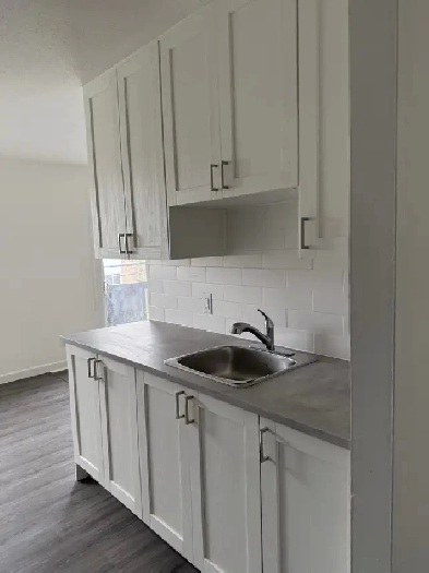 Longueuil beau 41/2 rénové libre immédiatement ou Janvier Image# 1