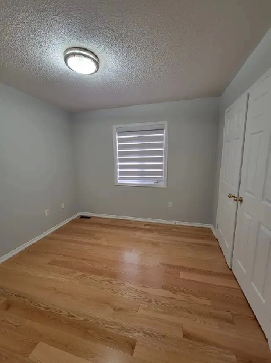 Room for Rent : Brampton Image# 1