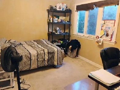 FEB 1-15m/Algonq-30min/Carleton-Meadowlands-See VIDEO Image# 1