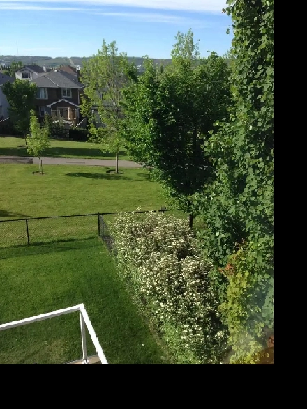 Furnished Room for Rent in Beautiful Tuscany – Mountain View ! Image# 1