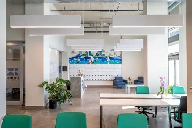 private offices/dedicated desks for rent Image# 8