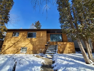 2 bedroom BASEMENT SUITE - Available Immediately Image# 2