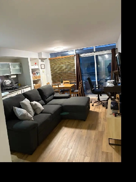 1 Bedroom Condo for Rent Image# 1