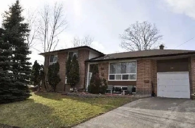 3 BED 1  BATH - HOUSE Image# 7