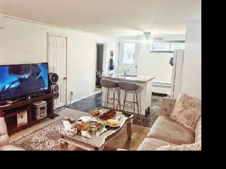 Spacious 1 1 Bedroom Walkout Basement Apartment – Thornhill Image# 1