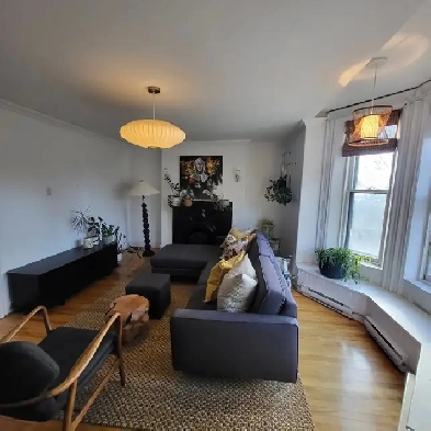 148 Sydney St, Apt # 3 Image# 4