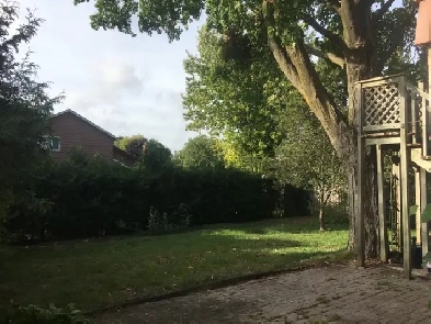 Markham Rd / Hwy 7  House 2Bed Apartment for Rent Image# 6