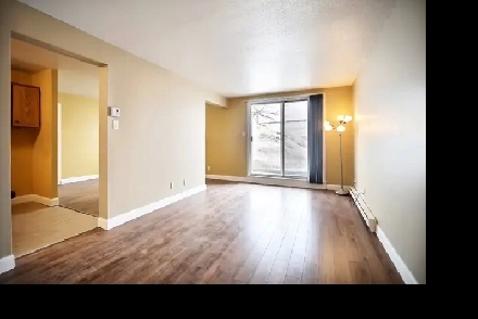 3 1/2 ,  1er étage (porte-patio égale au gazon) - FÉVRIER 2026 Image# 1