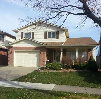 BEAUTIFULL 3 BEDROOM LOWER LEVEL HOME FOR RENT Image# 3