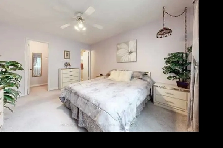 Spacious Apartment for Rent in Hamilton. Image# 1