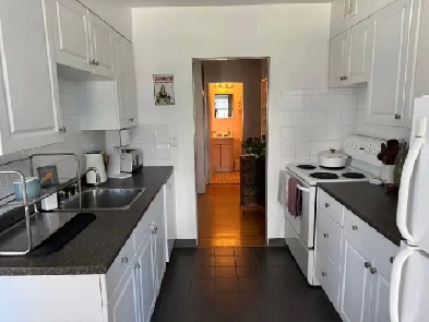 Bright Large 1 Bedroom Dog Friendly Building- Downtown New West Image# 3