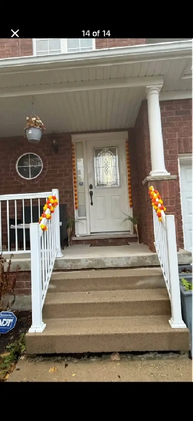 2 bedrooms rental in detached house Image# 2