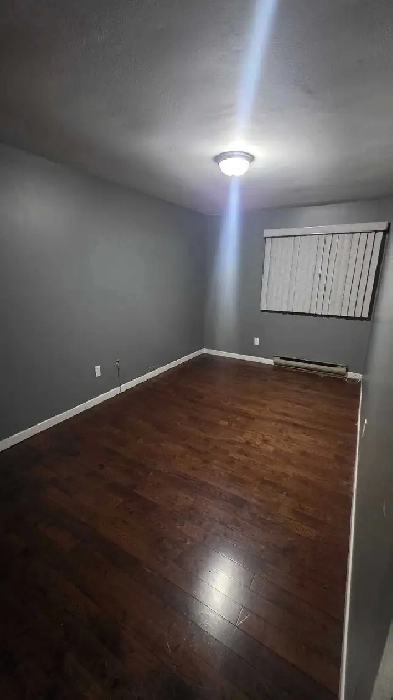 private room for rent females only Image# 1