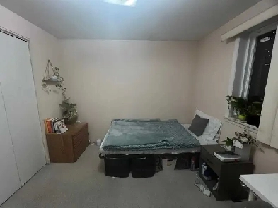 Room For Rent Seneca College Image# 1