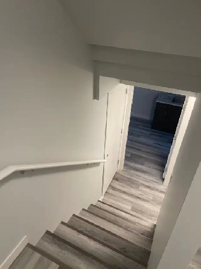 1 Bedroom Basement for Rent Image# 4
