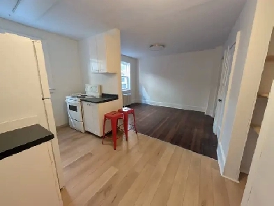 1 bedroom renovated apartment - Available January 1st Image# 1